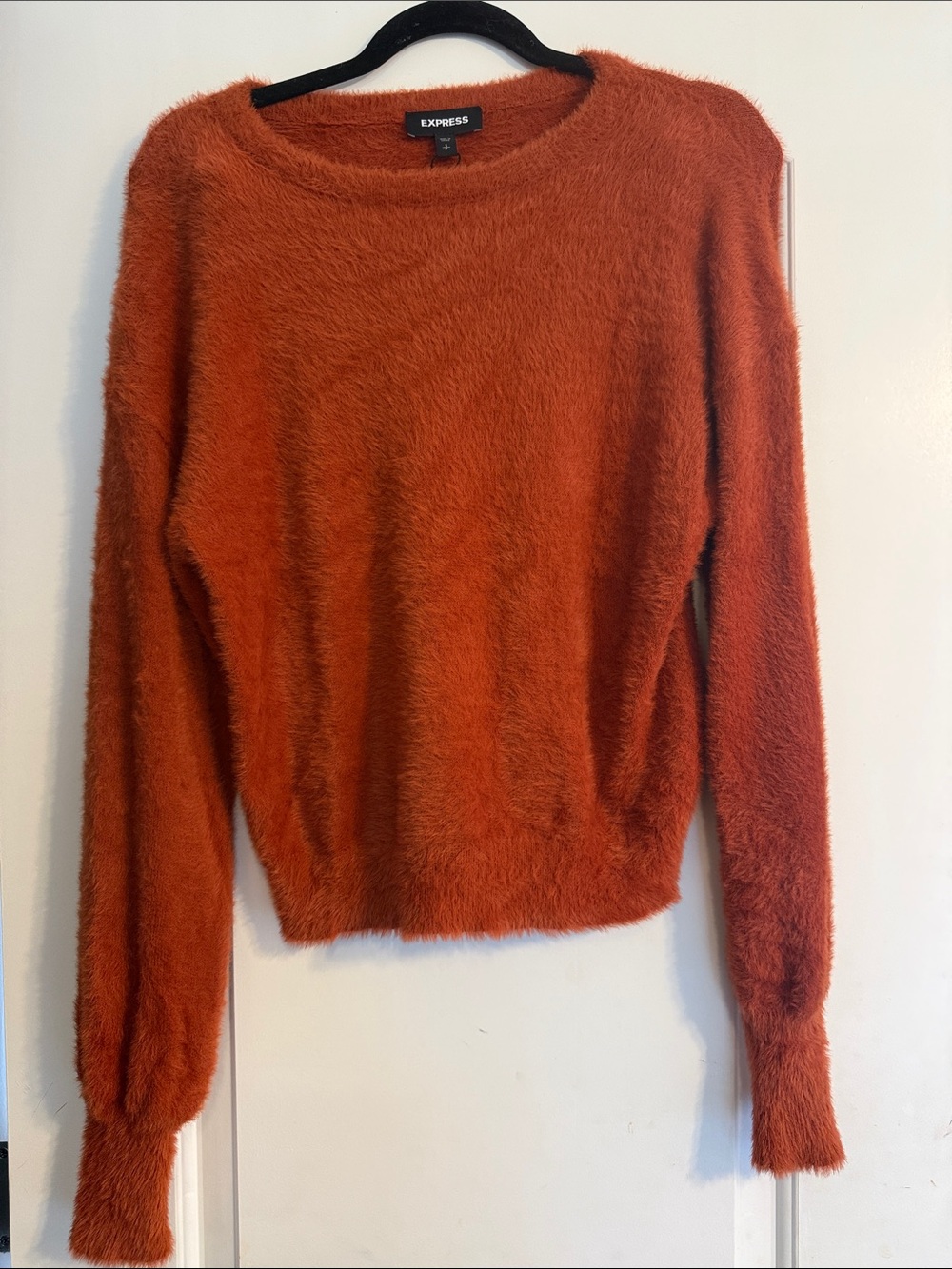 Express Women's Rust Orange Fuzzy Crewneck Sweater